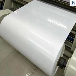 China 10-50 Micron High Transparent Pet Sheet Film with One or Two Side Corona Treatment for sale
