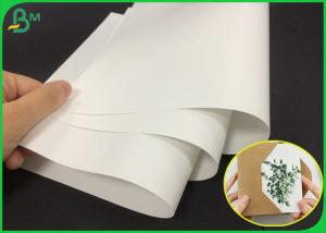 China 80g White Color Matte Gloss Art Paper Roll For Making Company Brochure on sale