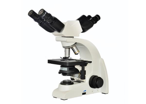 40x-1000x UOP Multi Viewing Microscope With 3W LED Illumination