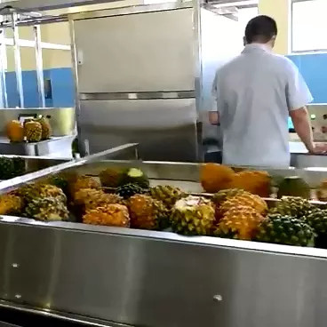 High Performance Complete Pineapple Processing Line Customized Pineapple Production Plant Machine With PLC For Fruit Industry