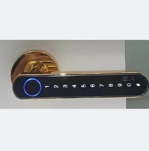 OEM ODM Push Pull Door Lock Digital Wifi Keyless Entry Door Lock