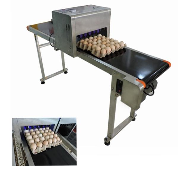 Buy Eggs Inkjet Date Code Printer For Expiry Date , Batch Code Stamping Machine  at wholesale prices