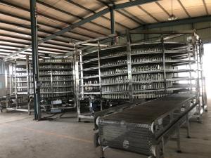 China                  Bread Cooling Tower with Plastic PP Material Belt in 500mm Width for Cooling Down The Bread              on sale