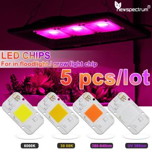 China 110V Led Cob Module NO Need Driver LED Matrix Chips Cold White on sale