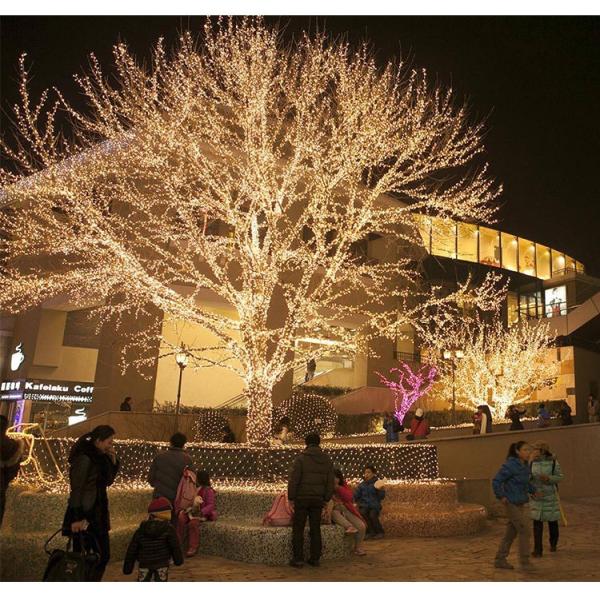 Solar Color Changing Christmas Globe String Lights 8 Modes 100 Led Crystal Ball String Lights Waterproof Fairy Lights