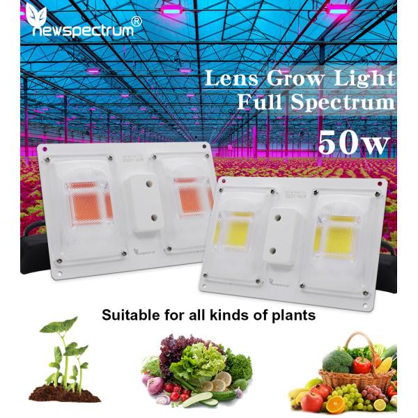 Waterproof Cob Led Chip Moisture Electric Shockproof Led Module 4000k