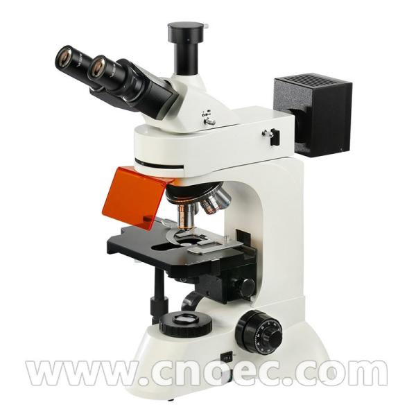 Buy Trinocular Infinity Plan Fluorescence Microscope 40x - 1000x A16.0207 at wholesale prices