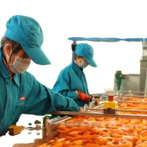 Quality Stainless Steel 316 / 304 Milk Sterilizer With High Temperature Capability for sale