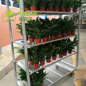 Buy cheap Q235 Dutch Trolley Shelves from wholesalers