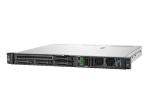 HPE ProLiant DL20 Gen11 HPE Storage Server Rack Server