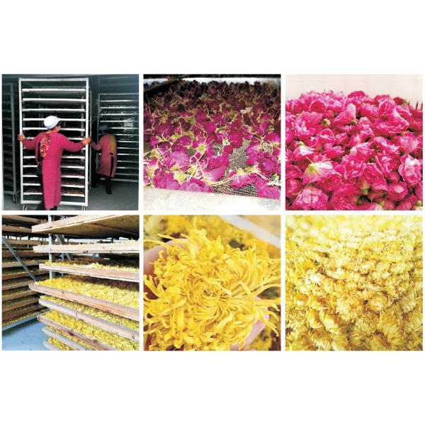 Heat pump drying process