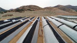 100% Polypropylene Advanced Technology Dustproof Pest Control Cheap Practical Nonwoven Fabrics For Agricultrual