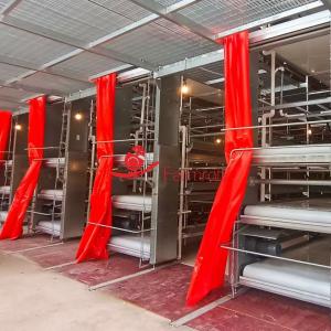 China Anti-Aging Stable Operation Poultry Manure Removal System Rust Resistance on sale