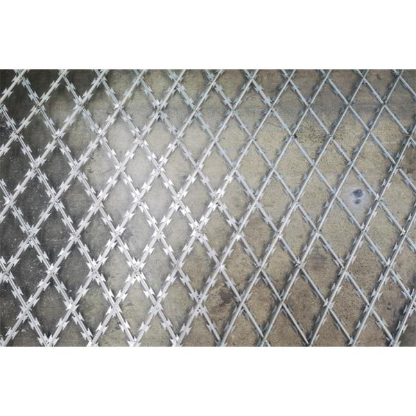 Hot Dip High Security Razor Barbed Wire Mesh Panel Fence Razor Wire Mesh Fence Form China Factory