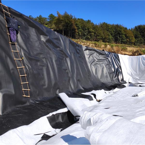 Modern Style Fish Pond Liner HDPE Geomembranes for and Project Solution Capability