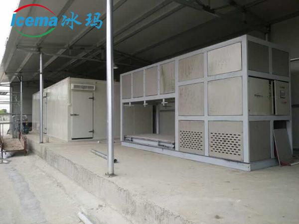2000 KG TECUMSEH Compressor 15 Ton Container Block Ice Machine with Mobile Plant