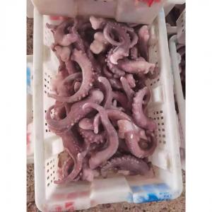 China For Thailand Fish Market A Grade IQF Frozen Indian Squid Tentacles Cut Wholes on sale
