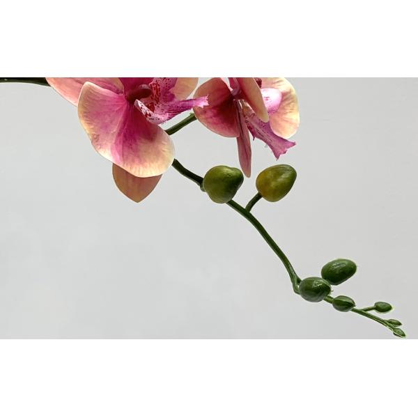 Long Lasting Colorful Artificial Flower Branch Phalaenopsis Aphrodite 83 Cm