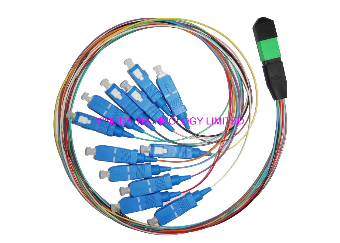 SC Hydra 12 Strand Fiber Cable Assembly MTP MPO Patch Cord For FTTX