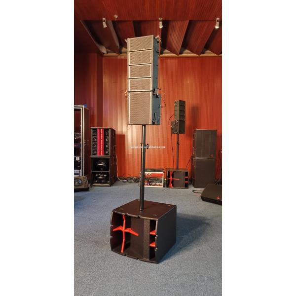 Low Frequency Subwoofer 250Hz Passive Array Speaker System