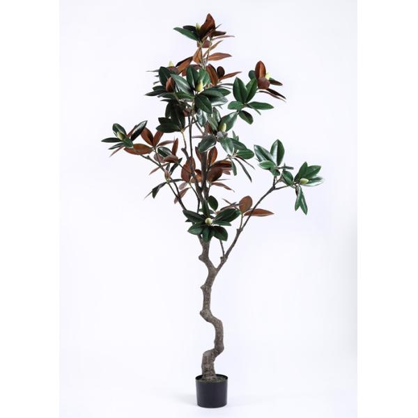 Lovely Artificial Plants And Trees Magnolia Tree Regal In Stature Command Attention