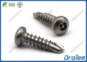 Quality Stainless Steel 304/410 Self Drilling Torx Tamper Proof Screw for sale