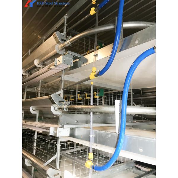 Hot Dip Galvanized Steel Chicken Layer Cages With Automatic Equipment