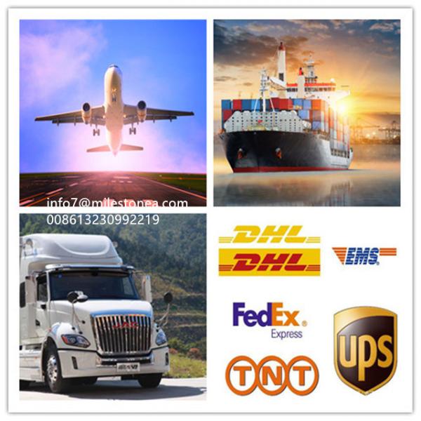 High Performance Fuel Filter 164038815R 164037803R 164039594R 8660003797