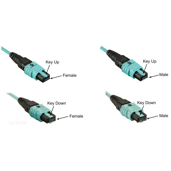 8 Core MTP Fanout Cable 10 M Length Single / Multi Mode MPO Fiber Cable for Data Communication
