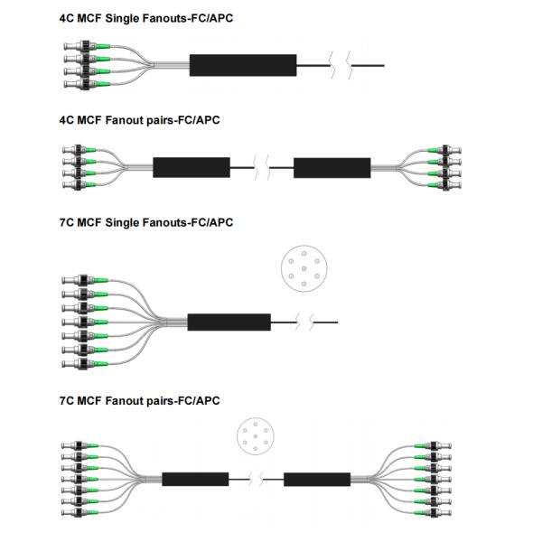 Multicore Fiber Fanouts The Ideal Solution for High-Density Fiber Connections
