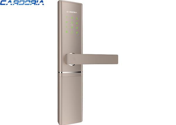 Buy Zinc Alloy Panel Remote Access Door Lock With TTlock App Control Compact Size at wholesale prices