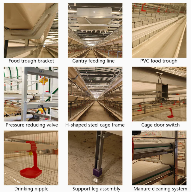 Automatic Broiler Cage with Detachable Structure, Adjustable Supporting Frame, and Hot-Dip Galvanized Steel for Poultry Farming
