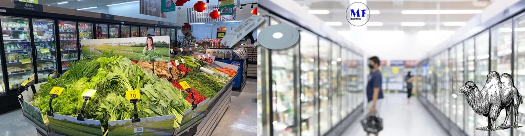 LED Emergency Spot Down Light ABS PC IP43 3W Back Up Lithium Battery