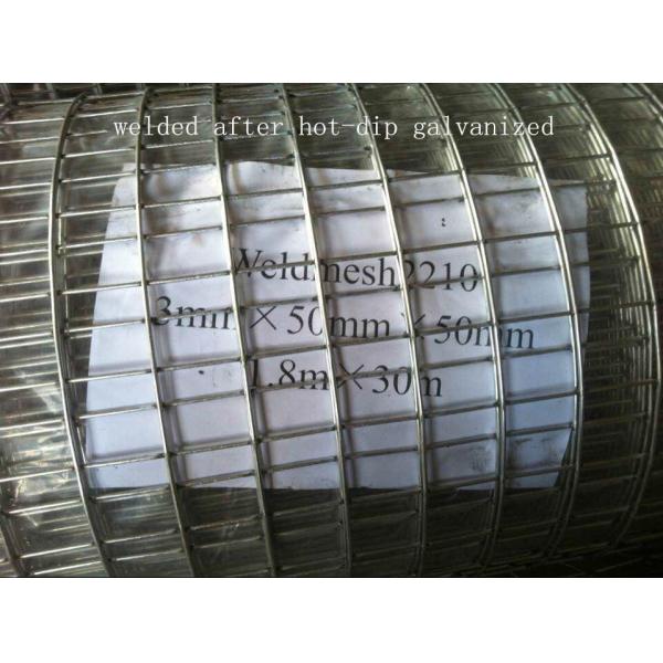 1", 25mm Openging Hot Galvanized Welded Wire Mesh With Above 6 Years LifeSpan