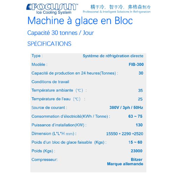 Customized Bar Size Industrial Ice Maker Machine Producing 30 Tons per Day Efficiency