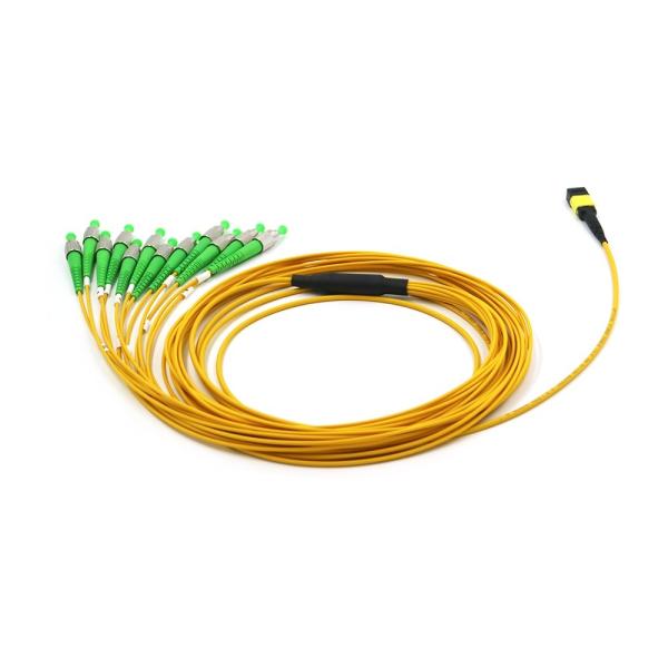 Buy OFNR 12F MPO MTP Patch Cord FC APC Breakout Trunk Cable For Data Center at wholesale prices