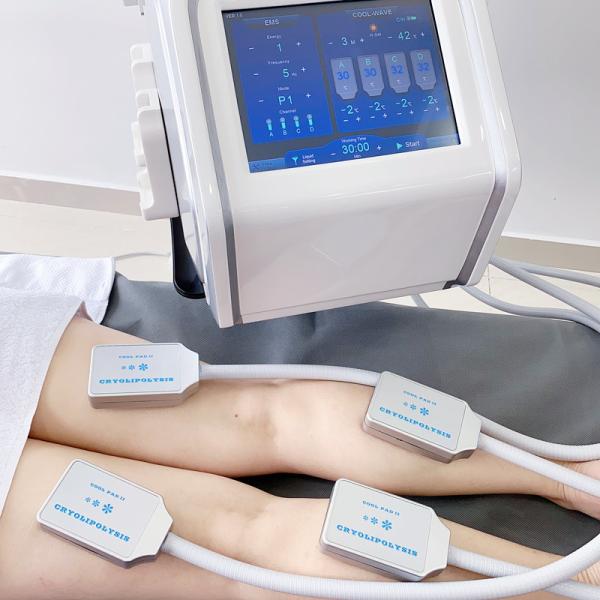 Cryolipolysis Fat Freezing Machine Cellulite Treatment Machine With Muscle Stimulate Function