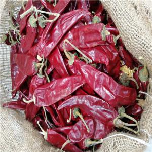 China Stemless Dried Guajillo Chile Peppers 15cm 0.3% Max Impurity For Sauces on sale
