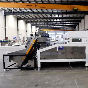 Quality In Shell Macadamia Nuts Sorting Machine Accurate Grading Sizing Simultaneously for sale