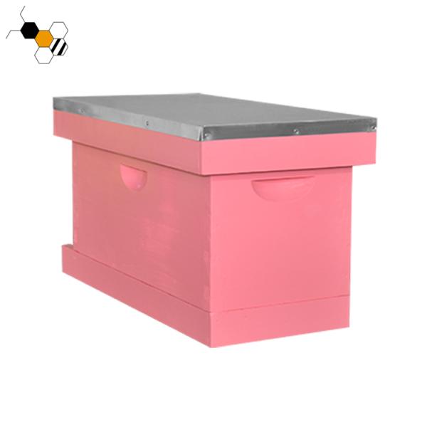 queen rearing 5 Frame bee hive equipment Langstroth Painted Nuc Box