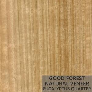 China Natural Eucalyptus Wood Veneer Popular Vertical Grain Veneer Plywood on sale