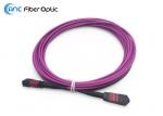 8M Digital Fiber Optic Cable LSZH OM4 50/125 Violet MTP Female Type B Elite