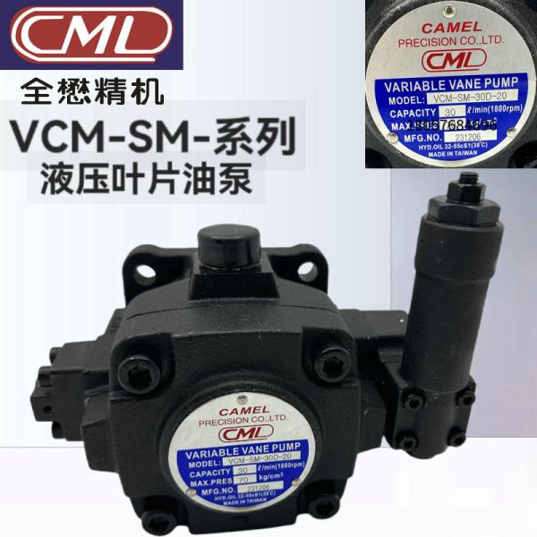 Buy TAIWAN CML Medium Pressure Variable Vane Pump VCM-SM-40C-21  VCM-SM-30D-20 at wholesale prices