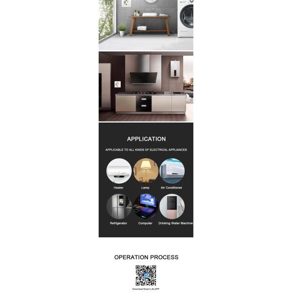 EU Smart Plug(WG-10)