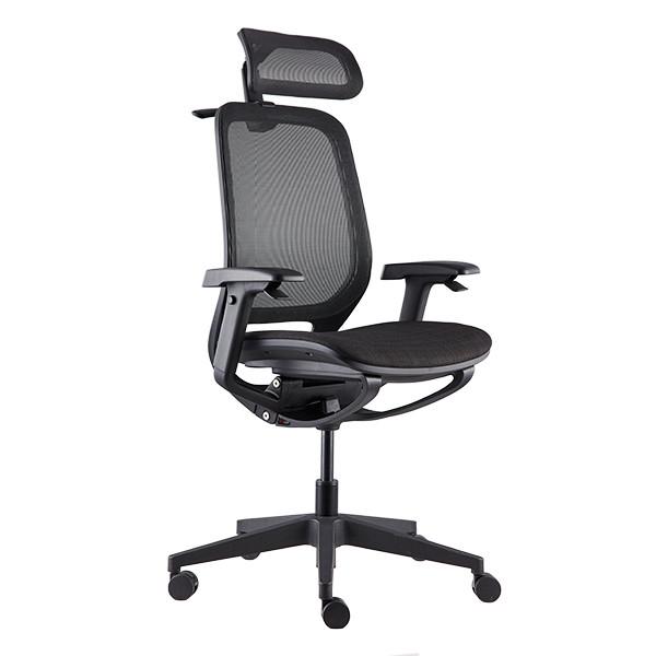 Buy Tilt Function and Adjustable Headrest With Hanger Black Ergo Desk Chair at wholesale prices