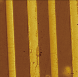 Wafer-Level Atomic Force Microscoperoscope