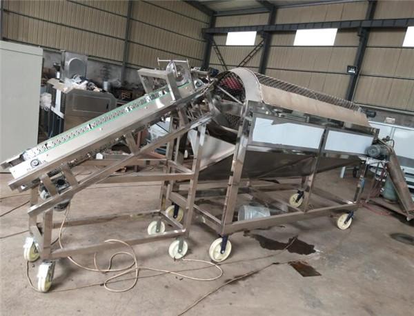 Buy fresh cocoa pod removing machine, cocoa bean collecting machine at wholesale prices