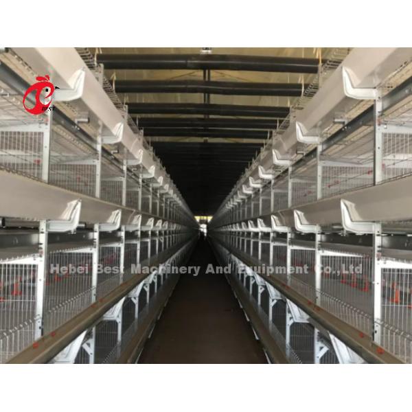 Baby Chick 2.5mm Brooder Cage Automatic Rearing System Rose