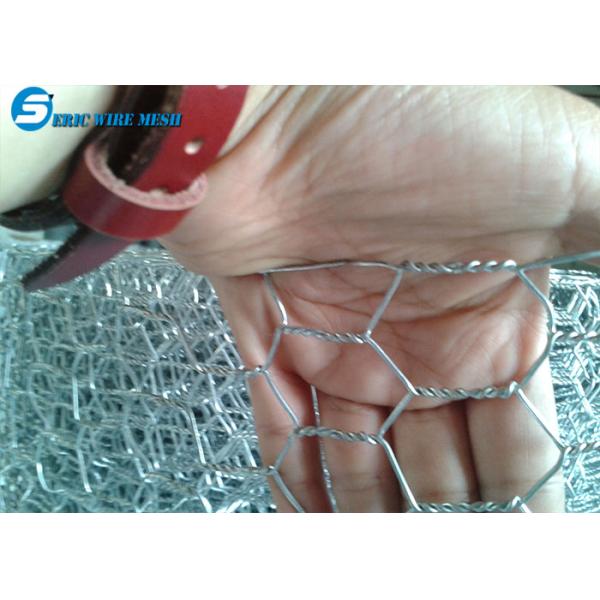 Galvanized Hexagonal Wire Mesh/Galvanized Chicken Wire Mesh/Rabbit Wire Mesh