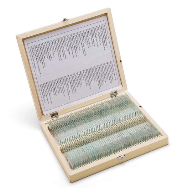 Buy Prepared Higher Education 100pcs Microscope Slides Set For Students at wholesale prices